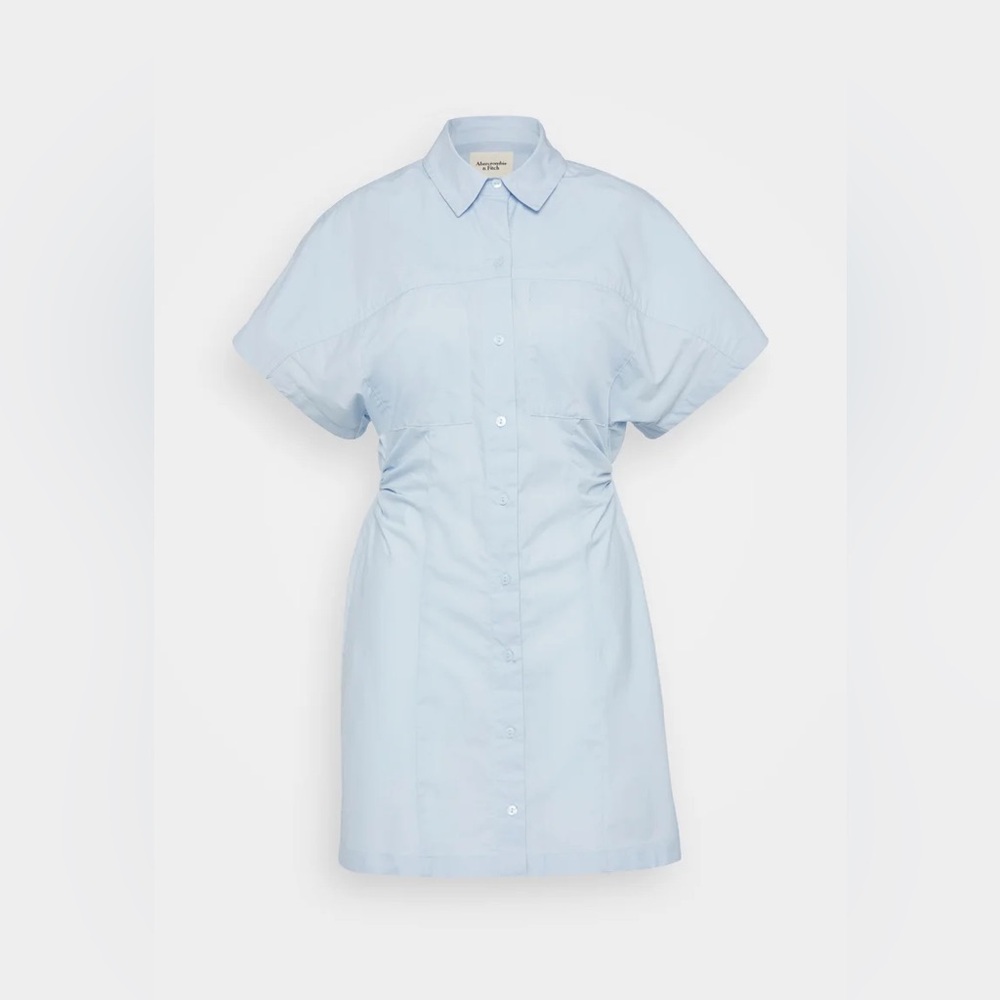 Abercrombie & Fitch Blue Ruched Mini Dress with Dolman Sleeves